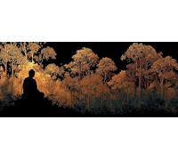 Forest Diamond Painting Kits for Adults, Pattern Zen Diamond Art 5D DIY Full Round Drill Gem Crystal Art Kits Crafts for Adults for Home Room Decor, Bedroom Decor, Gifts for Women 70x140 cm -yym2603ML
