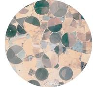 Forest Drive West - Recursion EP [VINYL]
