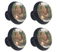 Forest Fairies Drawer Pulls Handles Cabinet Dressing Table Dresser Knob Pull Handle with Screws 4pcs
