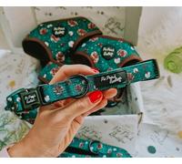 Forest Fir Cone Dog Collar S