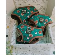 Forest Fir Cone Dog Harness S