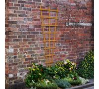 Forest Heavy Duty Fan Trellis 183 x 66cm Treated Golden Brown (Pack of 10)