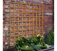 Forest Garden Forest Heavy Duty Trellis 183 x 183cm Treated Golden Brown (Pack of 6)