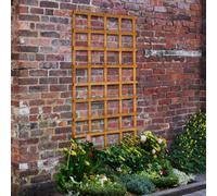 Forest Garden Forest Heavy Duty Trellis 183 x 91cm Treated Golden Brown (Pack of 6)