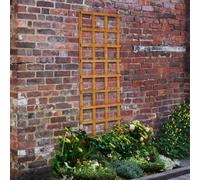 Forest Garden Forest Heavy Duty Trellis 183 x 61cm Treated Golden Brown (Pack of 4)