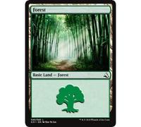 Forest | Global Series: Jiang Yanggu and Mu Yanling