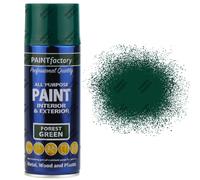 Forest Green Spray Paint All Purpose 400ml