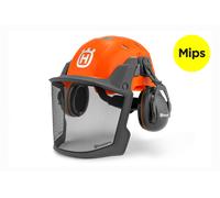 Forest helmet, Technical Mips