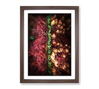 Forest In Everingham Yorkshire Modern Framed Print | A2 Walnut Framed Wall Art | Ready to Hang | Modern Landscape Picture | Living Room Bedroom Lounge Office