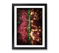 Forest In Everingham Yorkshire Modern Framed Wall Art Print, Ready to Hang Picture for Living Room Bedroom Home Office Décor, Black A2 (64 x 46 cm)