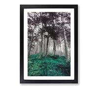 Forest in Russia Framed Print | A2 Black Framed Wall Art | Ready to Hang | Modern Landscape Picture | Living Room Bedroom Lounge Office
