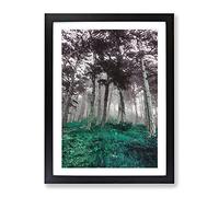 Forest In Russia Modern Framed Print | A3 Black Framed Wall Art | Ready to Hang | Modern Landscape Picture | Living Room Bedroom Lounge Office