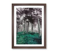 Forest In Russia Modern Framed Print | A3 Walnut Framed Wall Art | Ready to Hang | Modern Landscape Picture | Living Room Bedroom Lounge Office