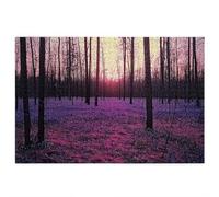 Forest Jigsaw Puzzles for Adults 4000, 4000 piece Jigsaw Puzzles for Adults, Challenging Wooden Jigsaws Puzzle for The Whole for Women, Puzzle for Home Wall Decor, Gifts for Women, Theme: Sunset G-54