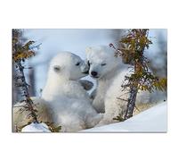 Forest Little White Cubs Polar Bear Poster Animal Wall Art Picture Print Canvas Painting Modern Home Room Aesthetic Living Room Office Decor Poster (30x45cm-No Frame)