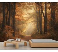 Forest Mural Autumn Forest Path Wallpaper Natural Scenery Wall Mural Large Panoramic Accent Wallpaper Bedroom Living Room 3D Sofa Backdrop (Non-self-Adhesive)