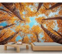 Forest Mural Autumn Woods Wallpaper Natural Wall Mural Panoramic Office Reception Studio Backdrop Custom Photo Wallpaper (Non-self-Adhesive)