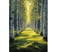 Forest Paint by Numbers for Adults, Landscape Painting by Numbers DIY Color Oil Painting Hobbies for Adults Women with Acrylic Paint Brush Set for Room Decor, Wall Art, Gifts 16x24inch -zjn2507Q1