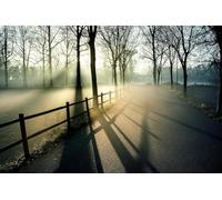 Forest path-6000 Classic Puzzle Pieces for Adults - Gift for the Whole Family, Skill Game 14 years+