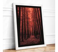 Forest Path in Amber Scandinavian Framed Wall Art Print A2 (59.4×42cm) White, Wall Decor for Living Room, Bedroom, Office & Home, Ready to Hang, Art Gift