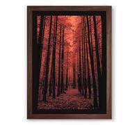 Forest Path in Amber Scandinavian Framed Wall Art Print A3 (42×29.7cm) Walnut, Wall Decor for Living Room, Bedroom, Office & Home, Ready to Hang, Art Gift