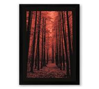 Forest Path in Amber Scandinavian Framed Wall Art Print A4 (29.7×21cm) Black, Wall Decor for Living Room, Bedroom, Office & Home, Ready to Hang, Art Gift