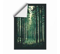 Forest Pathway Scandinavian Unframed Wall Art Print A2 (59.4×42cm), Wall Decor for Living Room, Bedroom, Office & Home, Art Gift