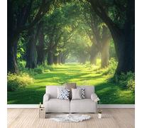 Forest Photo Wallpaper Natural Forest Scenery Wallpaper Mural 3D Art Print, Non-Woven Wall Paper, Decoration Poster Picture Mural 500 × 280 cm / 196.8" × 110" for Living Room Bedroom
