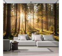 Forest Photography Sunlight Filters Through The Trees Panoramic Wall Mural, Yellow-Green Wallpaper 300x210cm (W x H), Modern Large-Scale Wall Art Mural Panoramic Poster for Living Room Bedroom Office