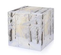 Forest Rime Magic Cube,The Original 3x3 Cube,Speed Cube Problem-Solving Brain Teaser,Easy Turning Sensory Puzzle Toy,Sensory Stress Relief Form Fidget Toys