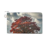 Forest Rural Roads Coin Purse Coin Pouch with Zipper for Men Women Portable Change Wallet Canvas Coin Bag