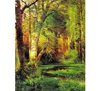 Forest Scene - Thomas Moran - Large Notebook: 120 Lined Pages, College Ruled, 8.5"x 11" Journal Diary Notepad