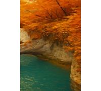 Forest Seasons Notebook - Autumn Edition