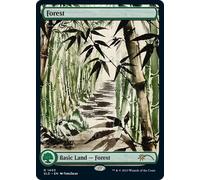 Forest (Secret Lair - Meditations on Nature) | Secret Lair Drops