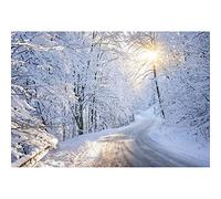 Forest Snow Backdrop 5x3ft Winter Sunshine Snowy Scene Background Christmas 3D Outdoor Snow Trail Photography Background for Photoshoot New Year Party Decor