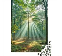 Forest Sunlight Rays 1000 Pieces Recycled Jigsaw Puzzle Stressful Workers Anxiety Relief Home Wall Art Cognitive Training 52x38cm/1000pcs
