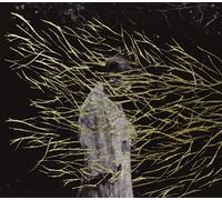 Forest Swords - Engravings