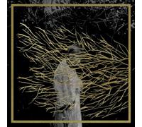 Forest Swords - Engravings (2025 Edition) [VINYL]