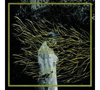 Forest Swords - Engravings [VINYL]