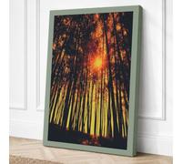 Forest Toward Light Modern Canvas Wall Art Print 18x12 Inch (46 x 30 cm)
