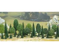 N 35 Forest Trees