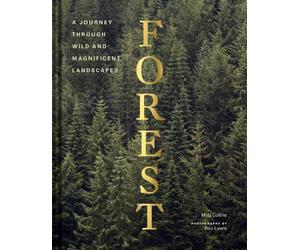 Forest: Walking Among Trees by Matt Collins (English) Hardcover Book