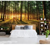 Forest Wallpaper for bedroom green trees Wall Mural + FREE Adhesive Summer day