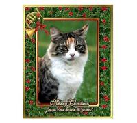 FORESTER SISTERS - CHRISTMAS CARD - CD - J3z