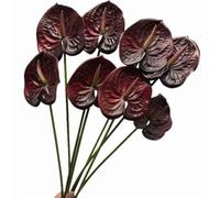 forestmistry 10pccs Artificial Anthurium Plant 3D Print Real Touch Lifelike Flamingo Lily Flower for Wedding Party Christmas Festival Hotel Home Floral Decor (dark red)