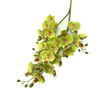 forestmistry 5pcs Artificial 21 Heads Orchid Flower Plant 3D Print Latex Mini Moth Phalaenopsis Flower (light green)