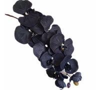 forestmistry 5pcs Artificial Black Orchid 10 Heads Large Silk Moth Phalaenopsis Flower with Long Stem for Wedding Floral Decoration (black)