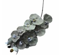 forestmistry 5pcs Artificial Moth Phalaenopsis Flower Branch Silk Big Flower Head Butterfly Orchid Plant with Long Stem for Wedding Floral Decoration (gray green)