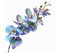 forestmistry 5pcs Artificial Moth Phalaenopsis Flower Plant 3D Print Latex Vanda 9 Heads Butterfly Orchid Flower (blue)