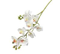 forestmistry 6pcs Latex Butterfly Orchid Flower Two Forks 9 Heads Real Touch Artificial Phalaenopsis (white)